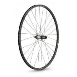 Dt-swiss Ruote MTB Dt Swiss X 1700 Spline Two 20 Mm 29